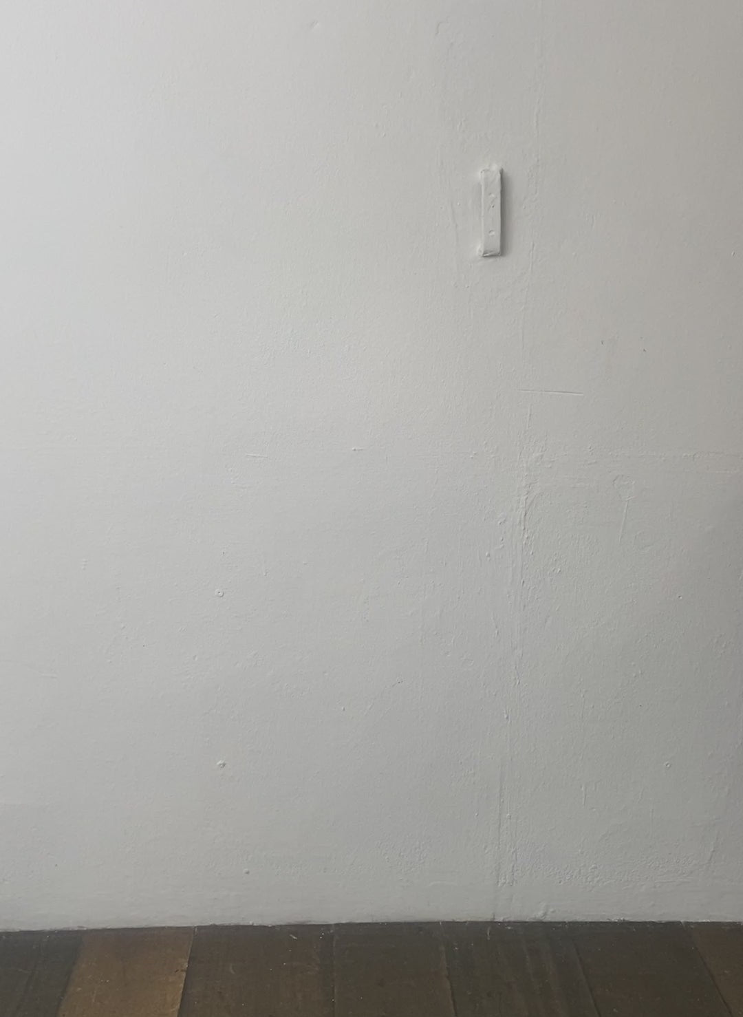 The Essentials Organic Cotton Maternity Shirt