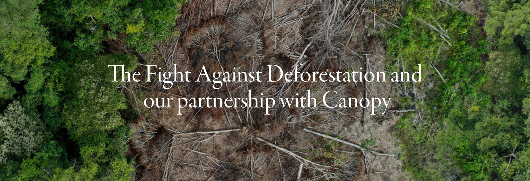 The Fight Against Deforestation and our partnership with Canopy