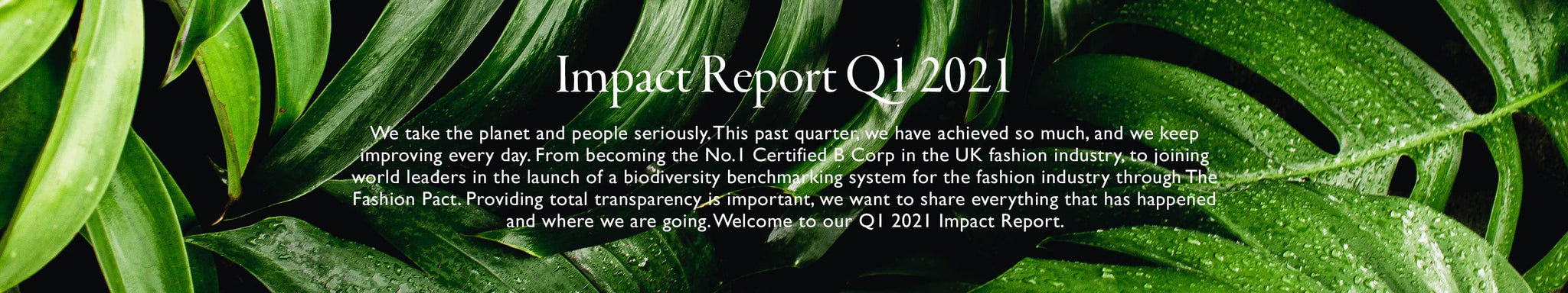 Impact Report 2021 Q1
