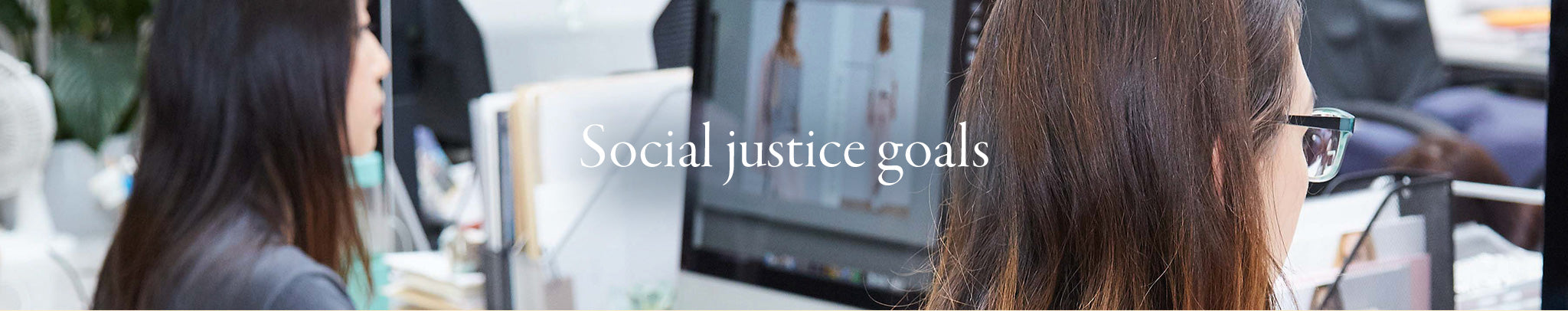 Social justice goals