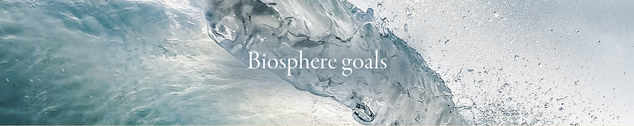 Biosphere Goals