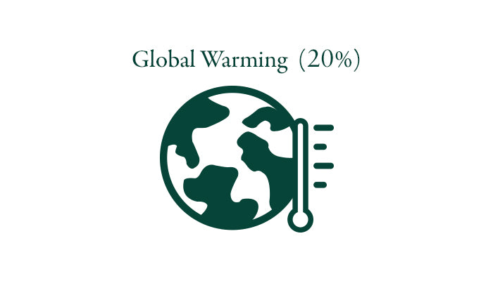 Global Warming (20%)