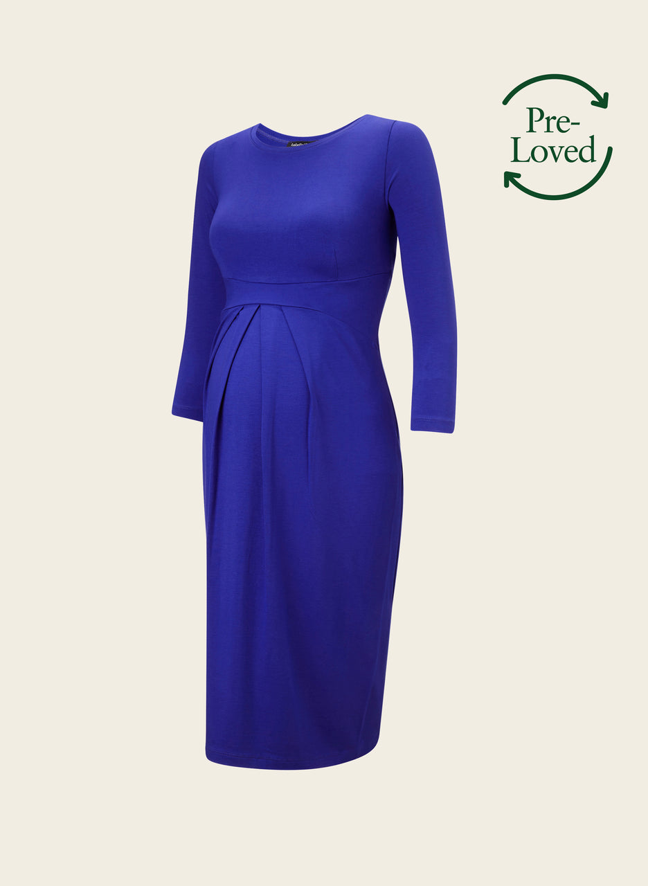 Pre-Loved Ivybridge Maternity Dress by Isabella Oliver